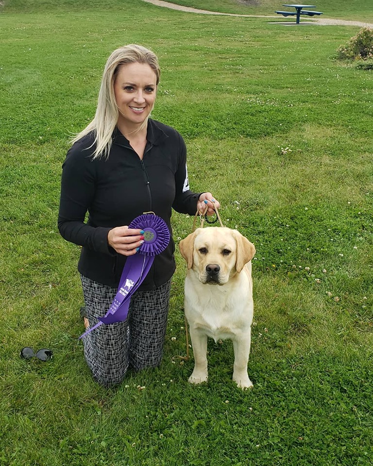 Eagertrieve Labradors Ckc Perm Reg